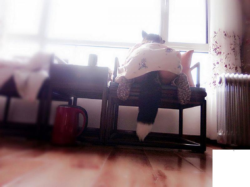 小姐姐實在太會玩了 (17P)