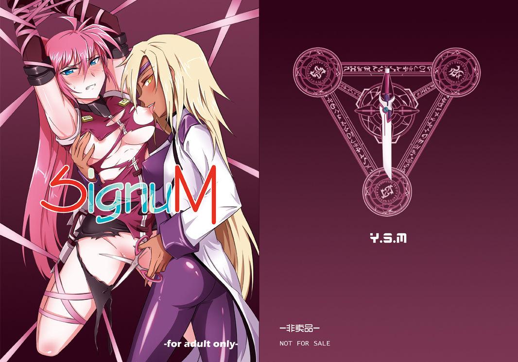 烧麦 SignuM 魔法少女リリカルなのは DL版