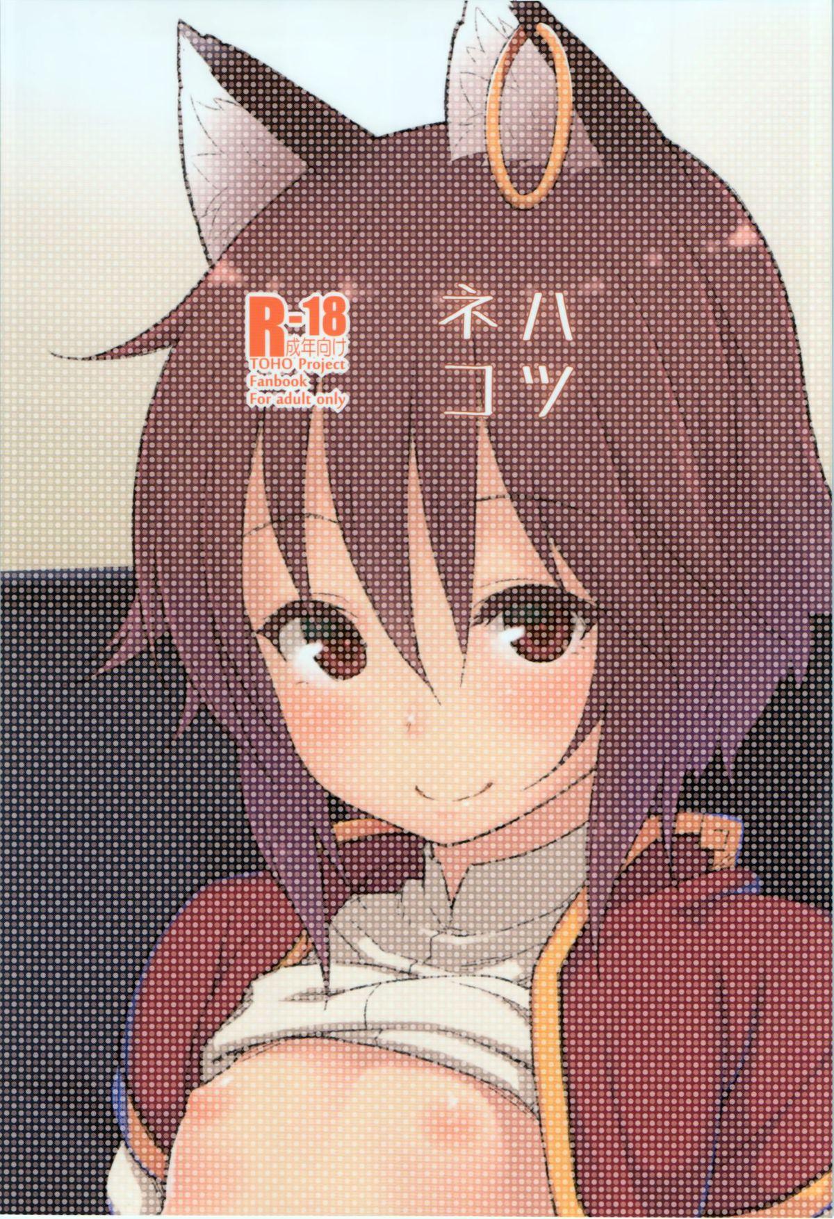 C86 広十练习帖 広弥 ハツネコ 东方Project 中国翻訳