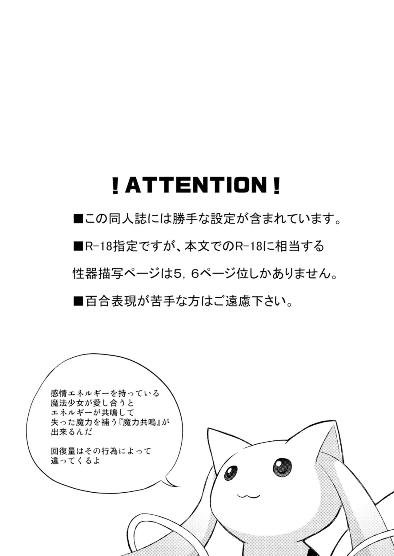 C81 えねるぎあ ぴかち さやかの×××大作戦 魔法少女まどか☆マギカ 中国翻訳