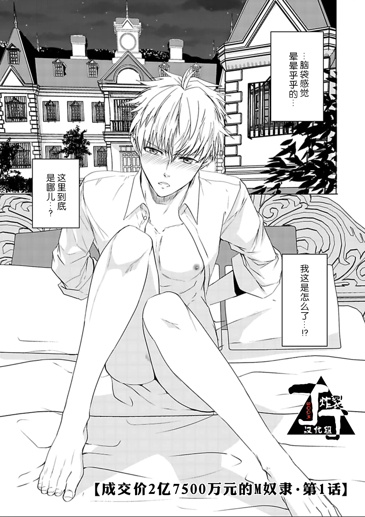 竹若トモハル 落札额2亿7500万円のM奴隷中国翻訳