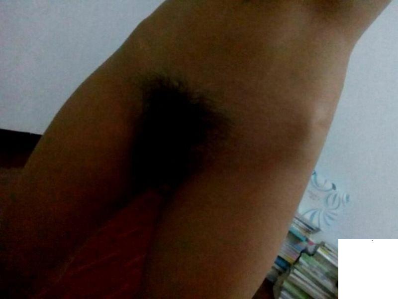 森林鳥都找不到洞了 (17P)