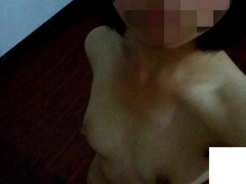 森林鳥都找不到洞了 (17P)