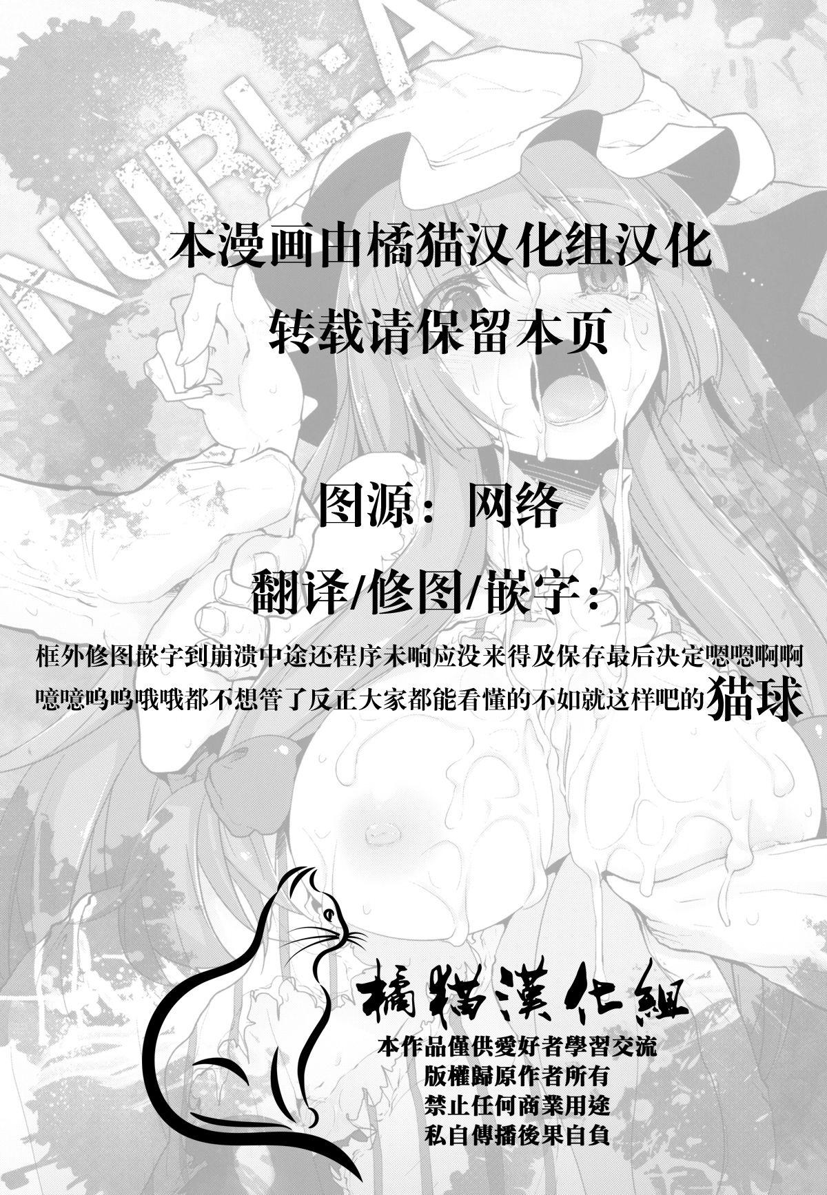 えくりぷす 胧月 INURLA 东方Project 中国翻訳  DL版