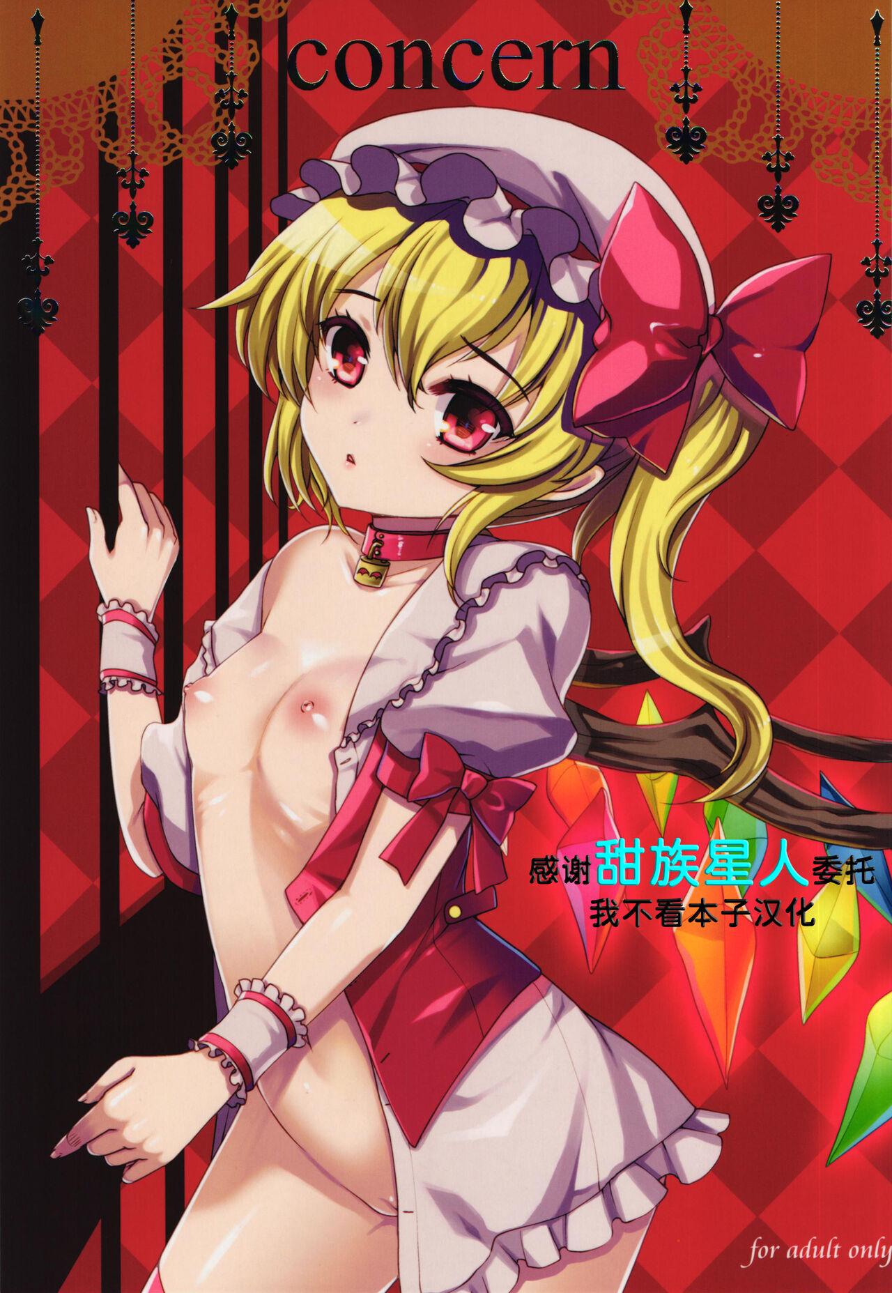 例大祭11 くまたんFlash! はなぉ Concern 东方Project  中国翻訳