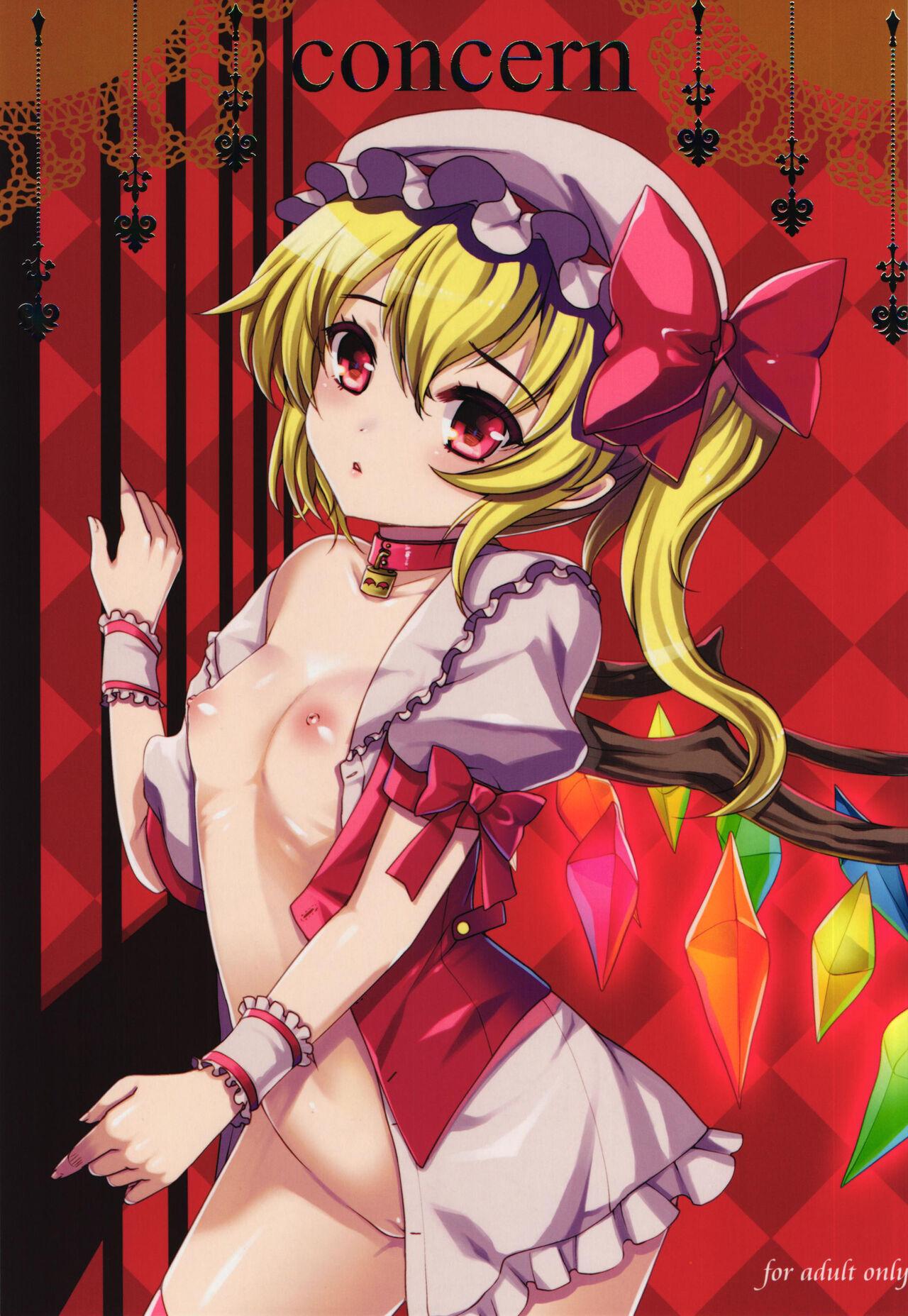 例大祭11 くまたんFlash! はなぉ Concern 东方Project  中国翻訳