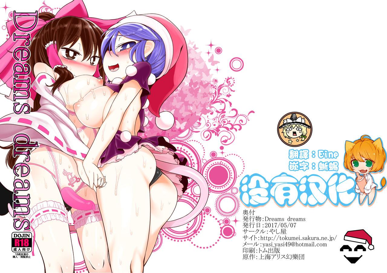 やし屋 YASSY Dreams dreams 东方Project 中国翻訳DL版