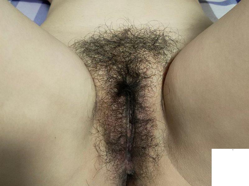 多毛美逼小騷妻 分享給大家 (11P)