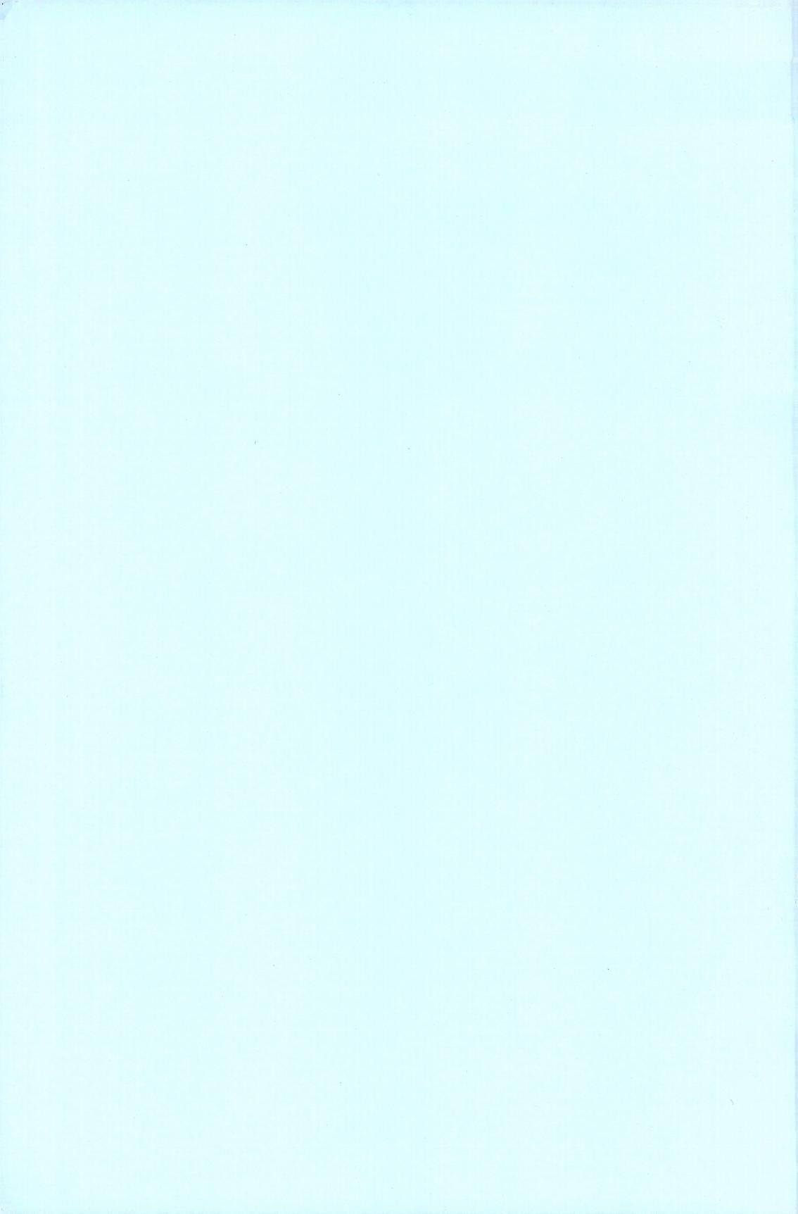 黙々堂 只野みあお 暴风注意报 戦国ランス 中国翻訳