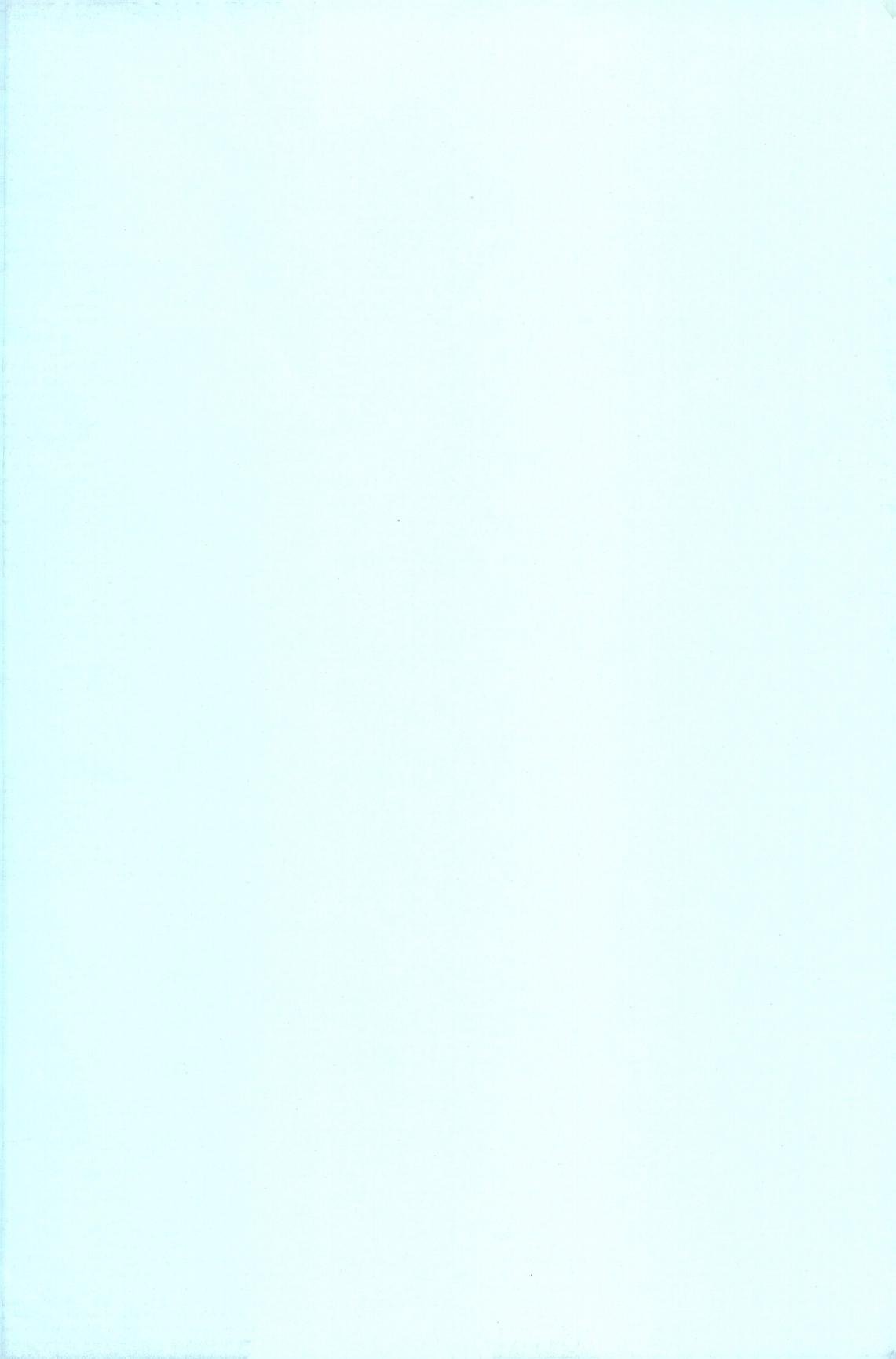 黙々堂 只野みあお 暴风注意报 戦国ランス 中国翻訳