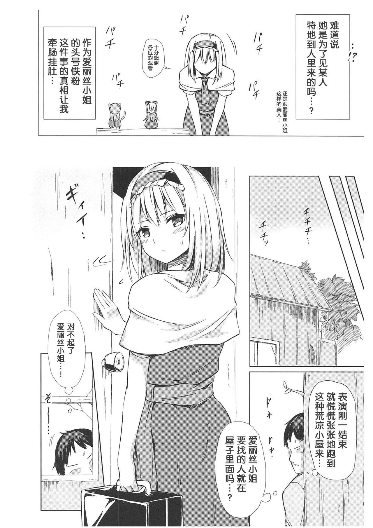 秋季例大祭5 てこめんち てち アリス・マーガトロイドの游雅な一日 东方Project中国翻訳