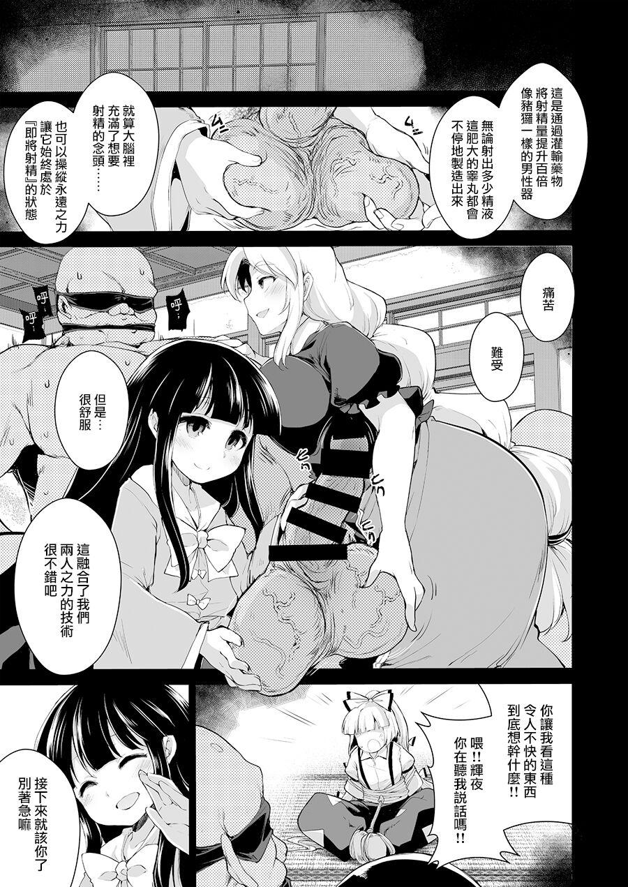 IncluDe ふぅりすと お薬は用法用量を守って 东方Project 中国翻訳 DL版