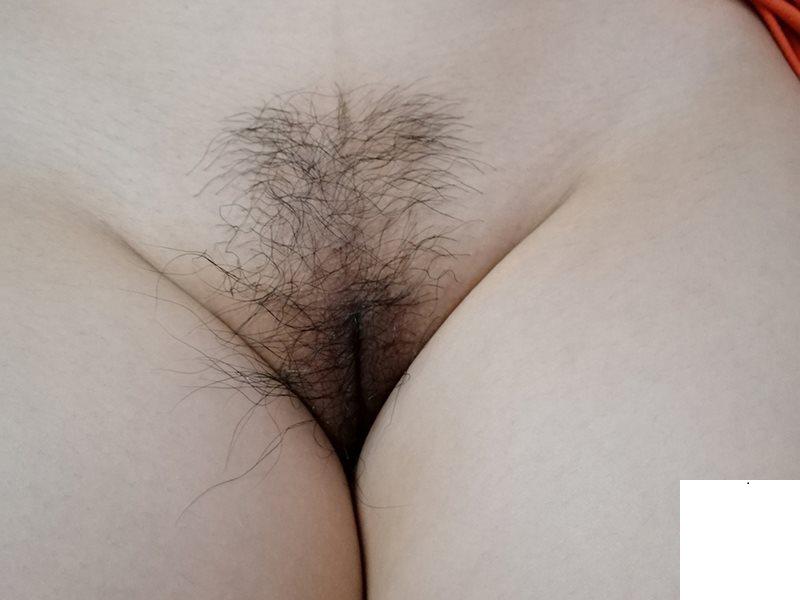 網聊半月嘗遍騷女千姿百態 (29P)