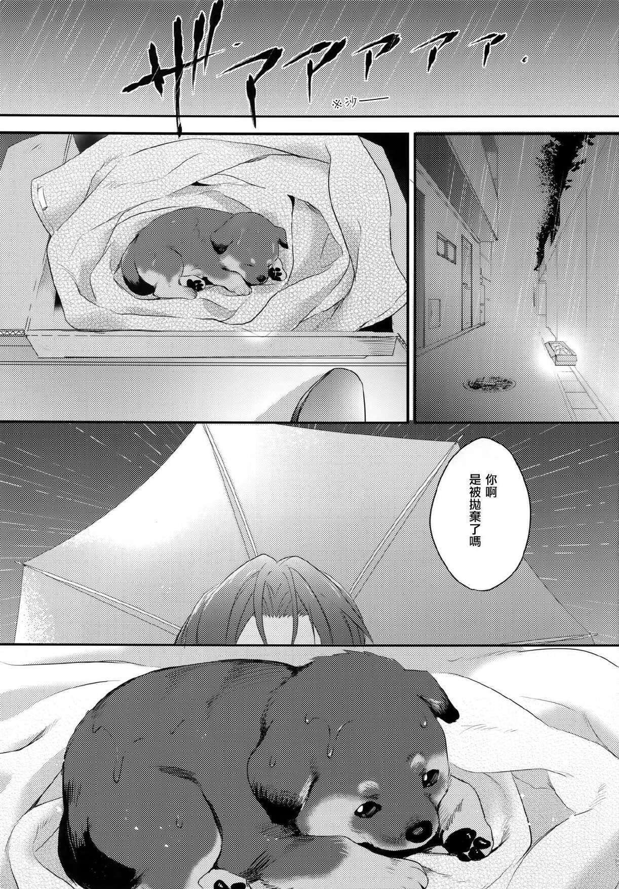 C91 PureSlider 松雄 Good boy my puppy! Free! 中国翻訳