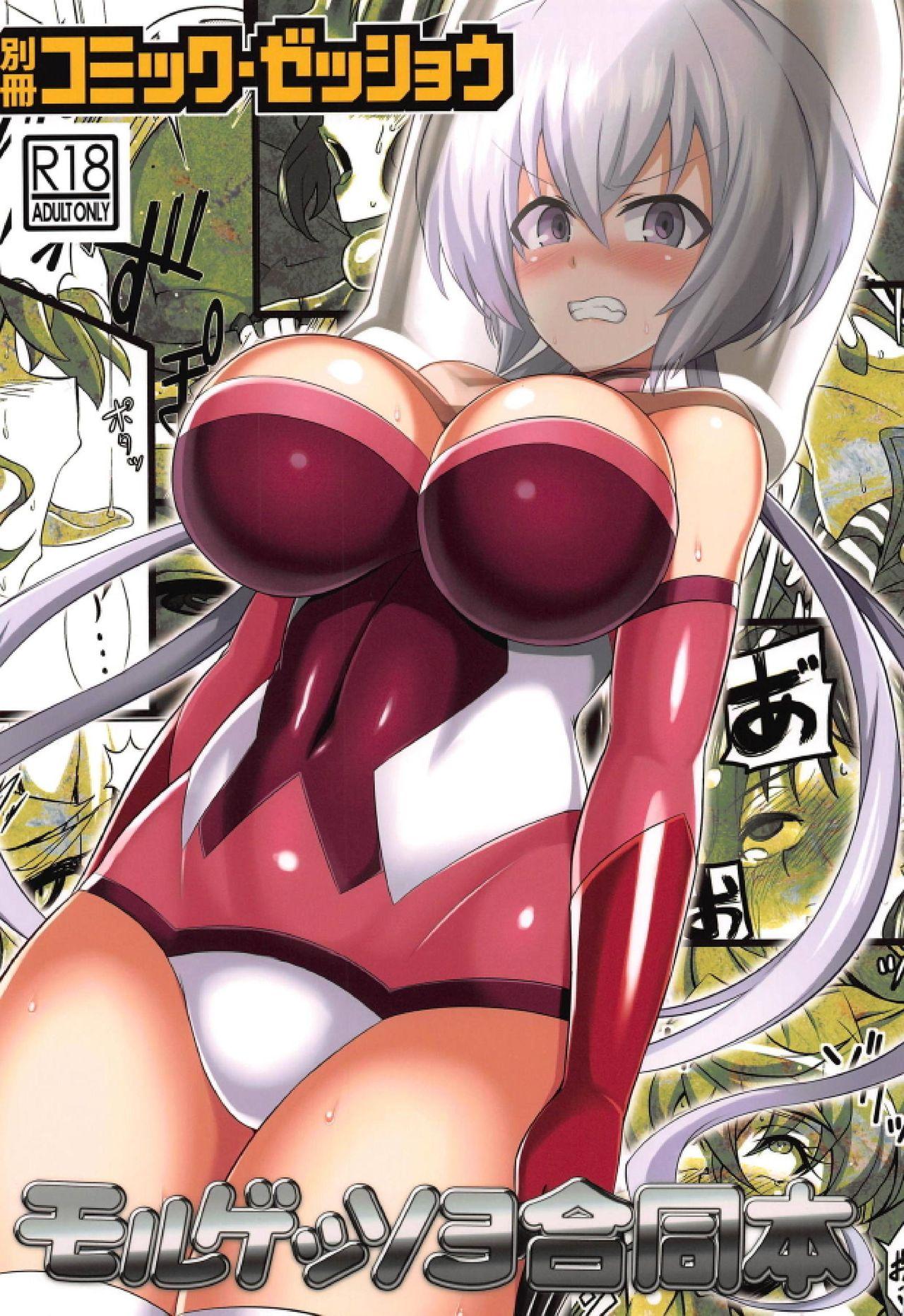 绝唱ステージ8 すがれや商店 よろず 别册コミック・ゼッショウ モルゲッソヨ合同本 戦姫绝唱シンフォギア 中国翻訳