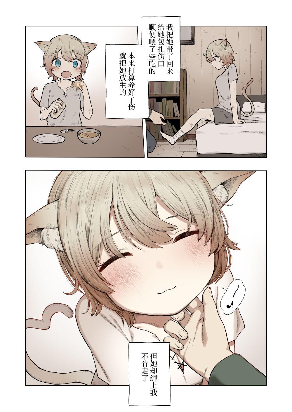 首切り 拾い猫 中国翻訳