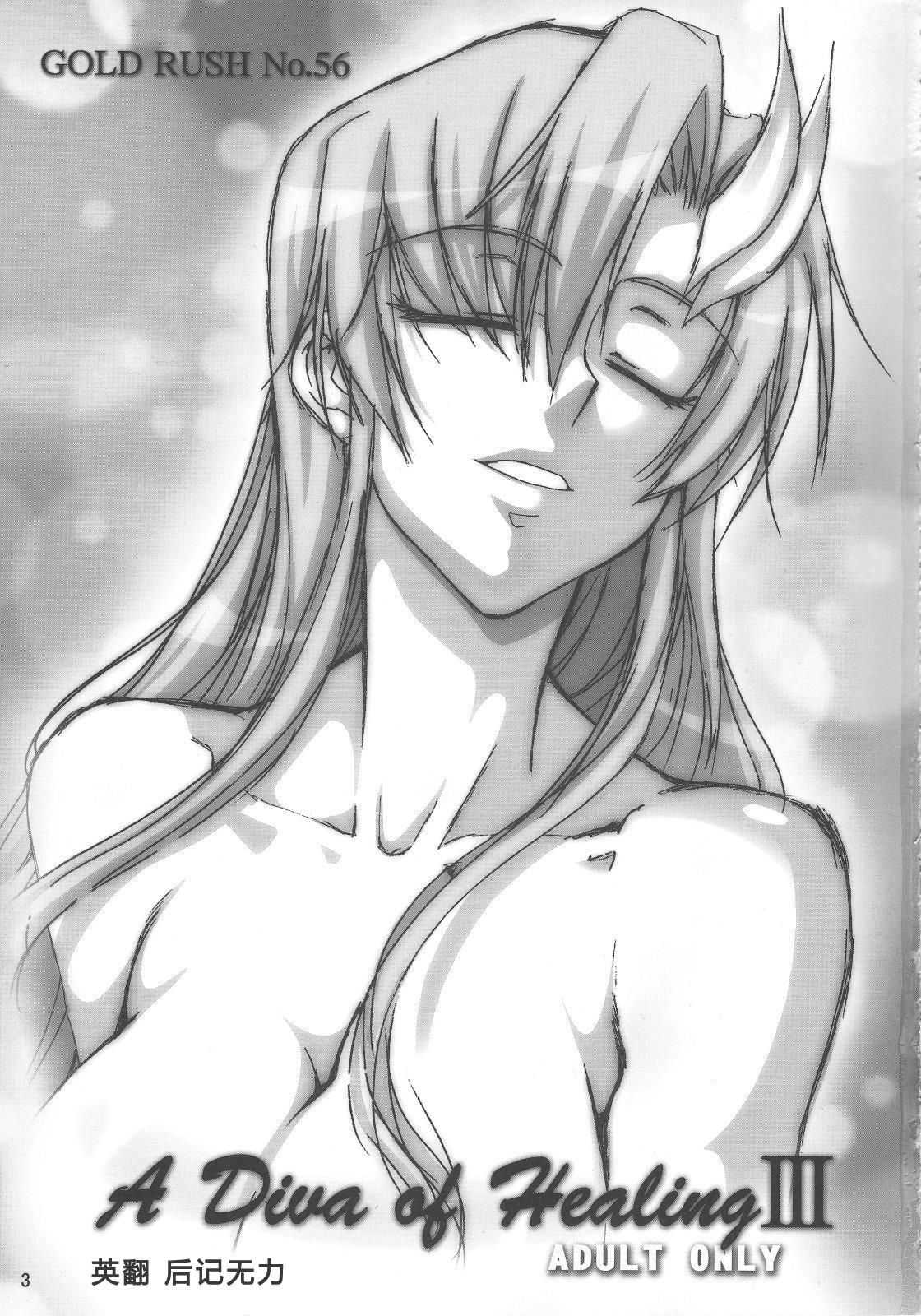 C73 GOLD RUSH 铃木あどれす A Diva of Healing III 机动戦士ガンダムSEED DESTINY 中国翻訳